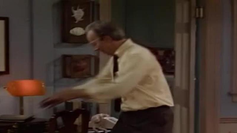 Кадры из сериала Альф (1986)