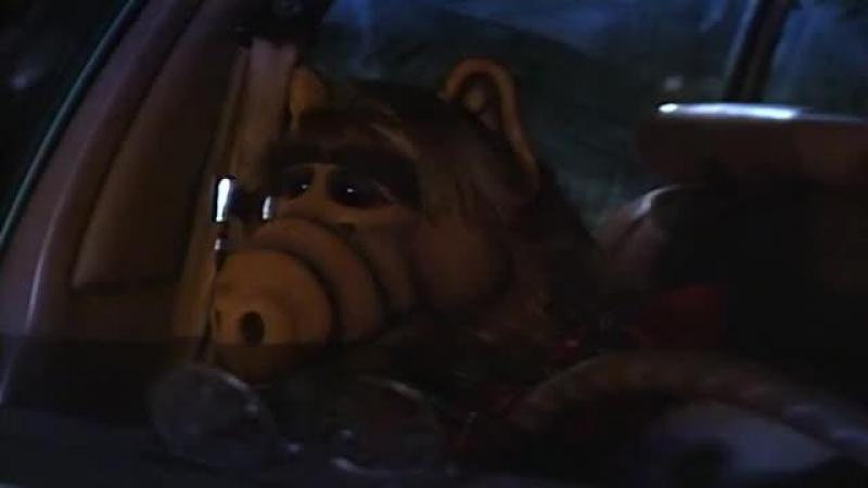 Кадры из сериала Альф (1986)